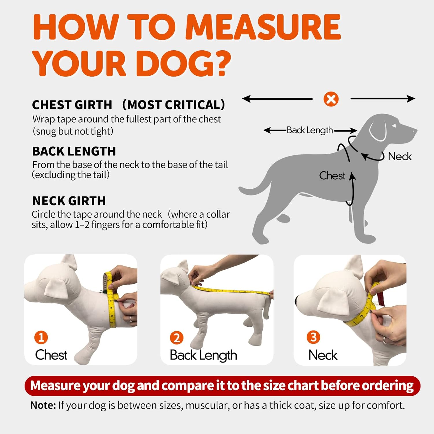 FOFOS Dog Sweater for Small Dogs Warm Winter Puppy Sweater Soft Pullover Dog Clothes for Cold Weather (Green, S)