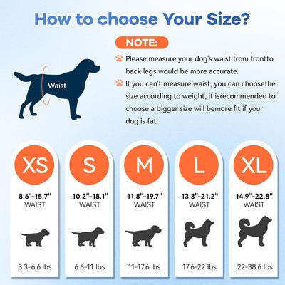 Disposable Dog Diapers Absorbent Soft Puppy Doggie Diapers for Female Dogs with Stretchy Waist Puppy Diaper in Heat Period Excitable Urination (S 10PCS)