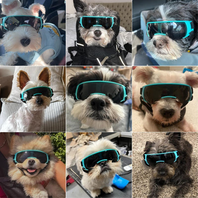 Gafas de sol para perros de raza pequeña a media, lentes UV400 antivaho para cachorros, gafas de sol ajustables y ligeras para perros, para protección UV, viento, nieve, polvo, color azul