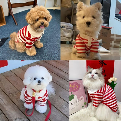 MANON ROSA Cute Dog Clothes Boy Dog Polo Shirt for Small Medium Dogs - Summer Male Puppy T Shirts for Yorkie Poodle Shih Tzu Dachshund Kittens, Striped Collared Pet Doggie Designer Outfits Red XS