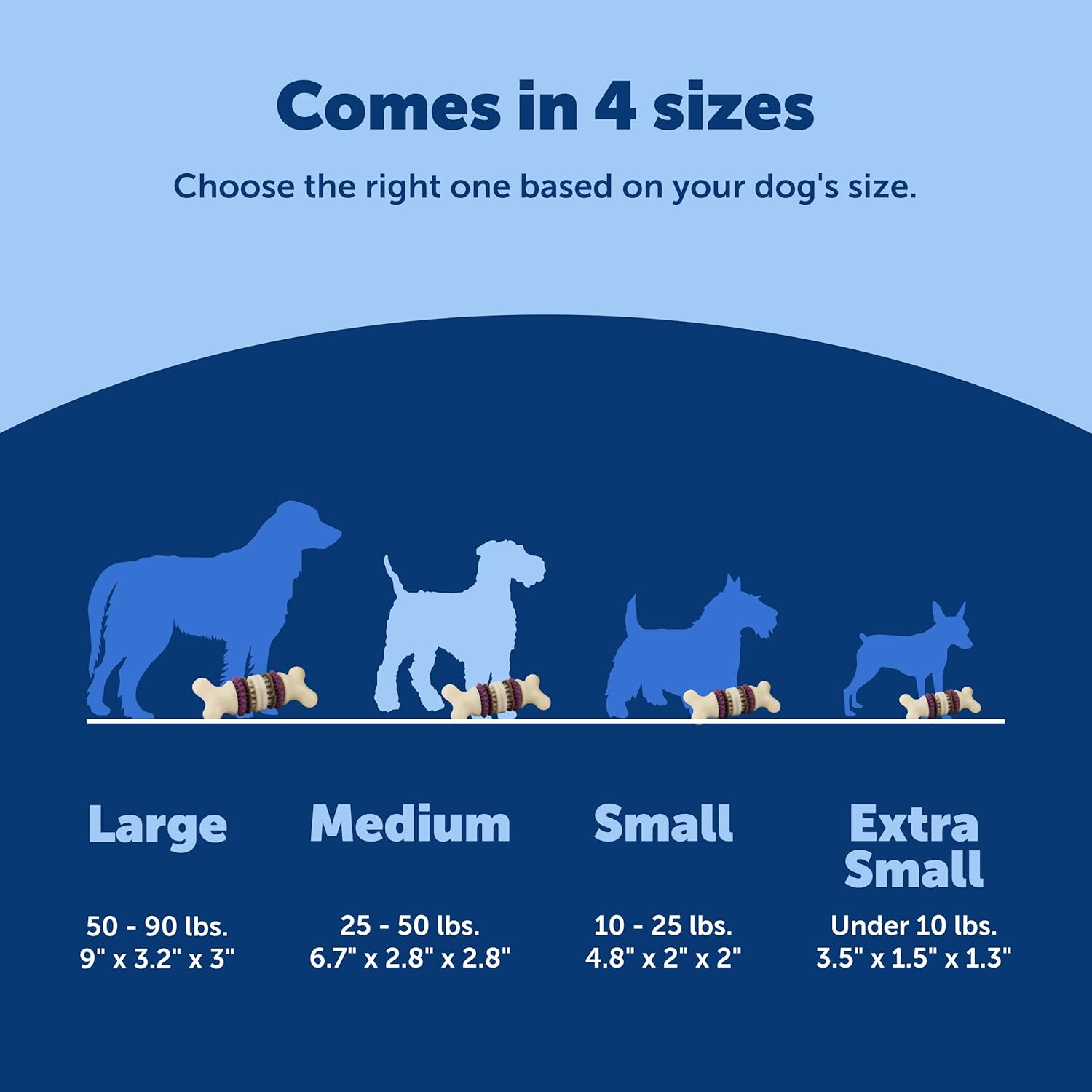 PetSafe® Busy Buddy® Bristle Bone®, Medium, Helps Keep Your Dog's Teeth Clean, Long-Lasting Playtime