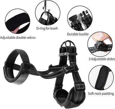 HEYWEAN Soft Dog Muzzle Adjustable Padded Nylon Muzzle for Large and Medium Dogs Anti Chewing Barking Biting Allows Dogs to Pant & Drink Comfortably (M)