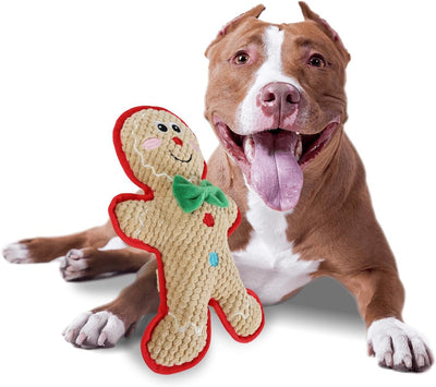 ALL FOR PAWS Christmas Dog Toys - Gingerbread Man Squeaky Toys, Durable for Small, Medium & Large Dogs