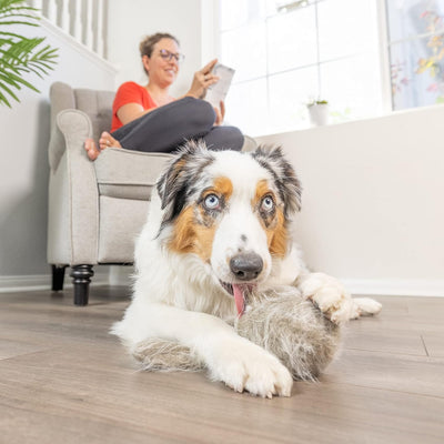 Hyper Pet Doggie Tail Interactive Plush Dog Toys (Wiggles, Vibrates, and Barks, Stimulating Play)