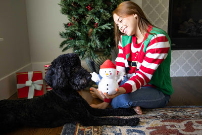 Pearhead Christmas Snowman Dog Toy, Holiday Stocking Stuffer Gift for Your Dog, Dog Lover, Plush and Rope Squeaker Dog Toy