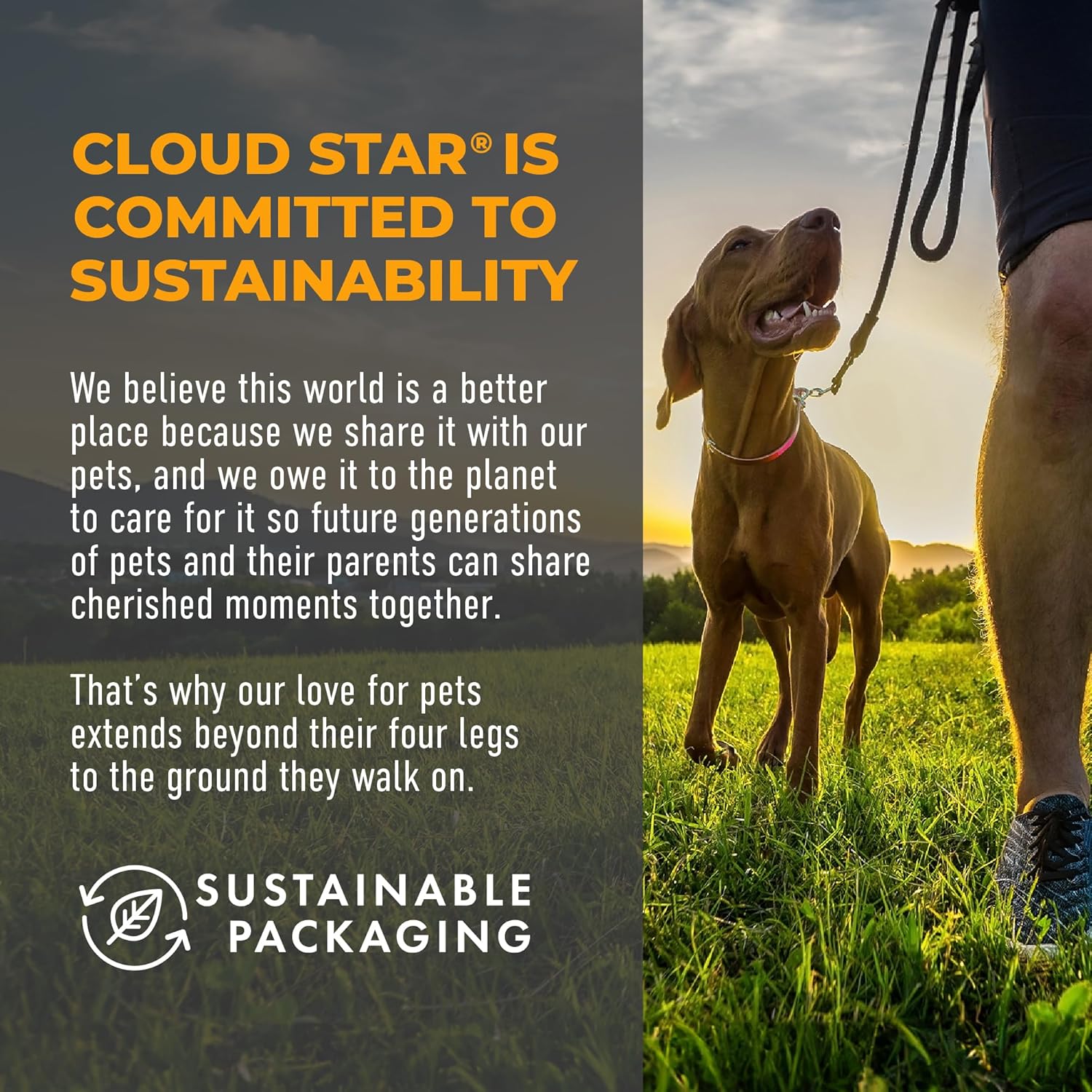 Cloud Star Tricky Trainers Crunchy Dog Training Treats 12 oz. Bag, Cheddar Flavor, Low-Calorie Behavior Aid with 680 Treats