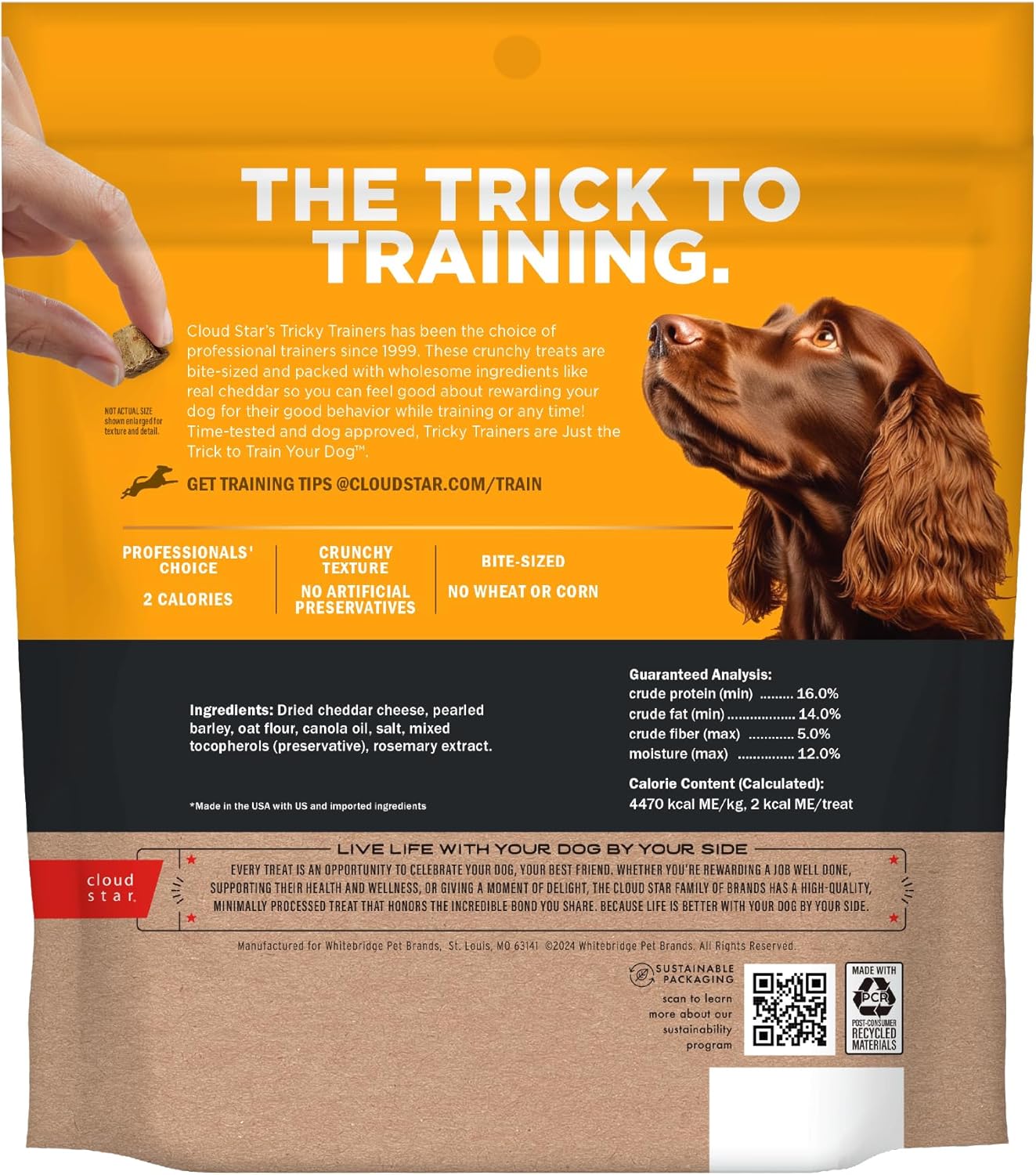 Cloud Star Tricky Trainers Crunchy Dog Training Treats 12 oz. Bag, Cheddar Flavor, Low-Calorie Behavior Aid with 680 Treats