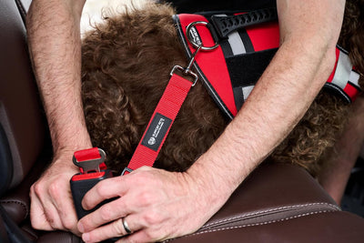 Adjustable Pet Seatbelt – Red Car Safety Harness Clip for Dogs & Support Animals – Durable Nylon Travel Restraint – Vehicle Seatbelt Buckle Attachment for Secure Pet Travel