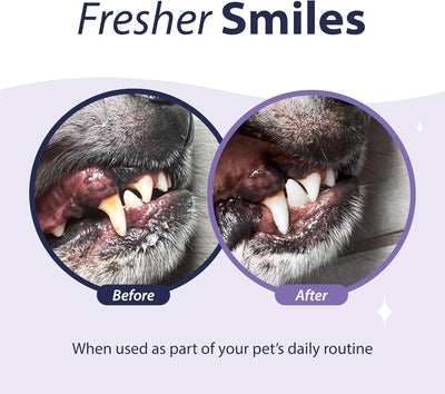 Dental Fresh Enzymatic Gel for Dogs, Dog Toothpaste – Dog Essentials for Dog Teeth Cleaning