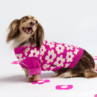 Fitwarm Floral Dog Sweater, Thermal Dog Sweatshirt, Dog Winter Clothes for Small Dogs Girl, Doggy Pullover Jumper, Pet Outfit, Hot Pink, White, Medium