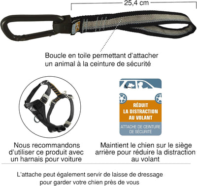 Kurgo Dog seat Belt Pet Safety Tether with Carabiner, Tru-Fit Enhanced Strength Replacement Tether, Use with Car Safety Dog Harness, seat Belt Tether (Black/Grey)