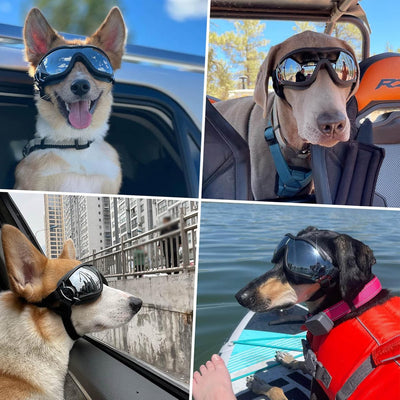 PETLESO Gafas de sol para perros de razas grandes, protección ocular para perros, resistentes al viento, para perros medianos y grandes, para montar en bicicleta, conducir, color negro