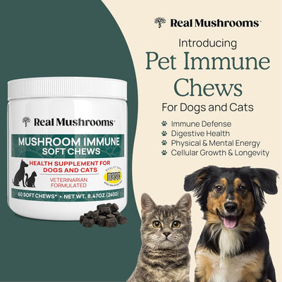 Real Mushrooms Soft Chews for Pets – Functional Treats with Reishi, Olive Leaf, Ashwagandha Blend – Cats & Dogs Vitamin Bites– Mushroom Supplement for Dogs & Cats Wellness Support, 60 Count