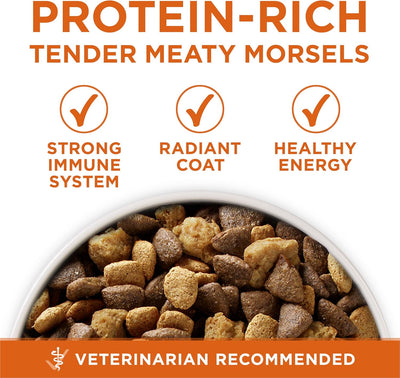 Purina ONE Plus Healthy Weight High-Protein Dog Food Dry Formula - 40 lb. Bag