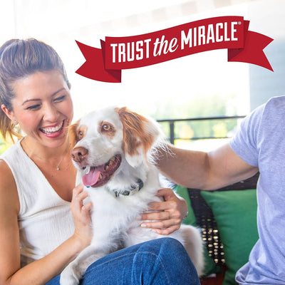 Nature’s Miracle Stain And Odor Remover Dog 1.33 Gallons, Odor Control Formula, AccuShot Sprayer Refill 170 fl oz, Tough on Dog Urine, Feces, Vomit, Drool and Other Organic Stains and Odors