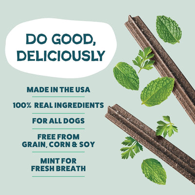 Shameless Pets Dental Chews for Dogs, Mighty Mint Dental Sticks, Healthy Treats for Teeth Cleaning & Fresh Breath - Free from Grain, Corn, & Soy for Small Dogs, 7.2 Ounce Bag