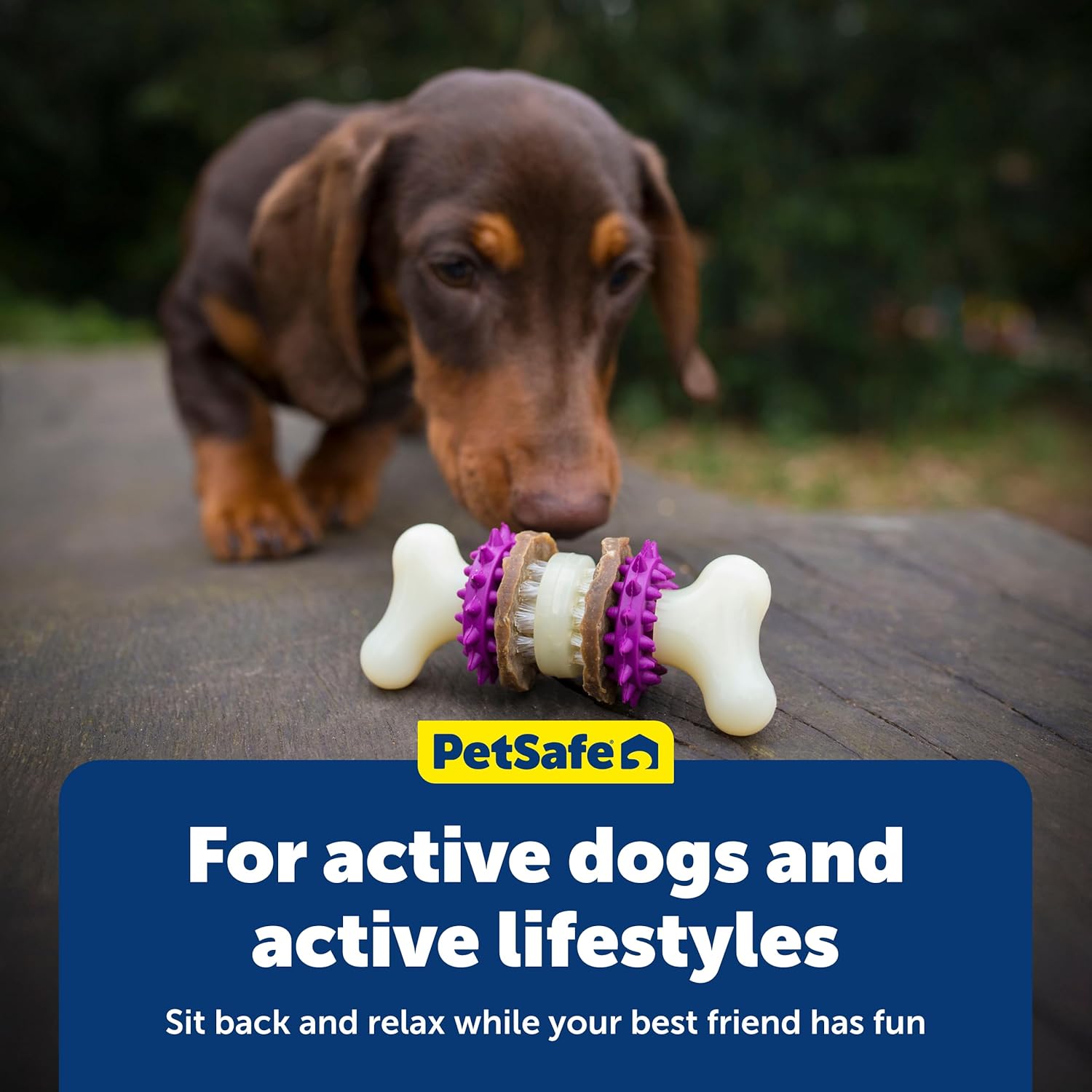 PetSafe® Busy Buddy® Bristle Bone®, Medium, Helps Keep Your Dog's Teeth Clean, Long-Lasting Playtime
