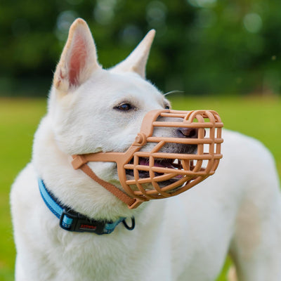 Baskerville Classic Basket Muzzle - Dog can Pant and Drink, Prevents Biting and Food Waste Scavenging, Strong TPR, Ideal for Longer Nosed Dogs, Breathable Dog Training Muzzle for Small Dogs (Size 1)