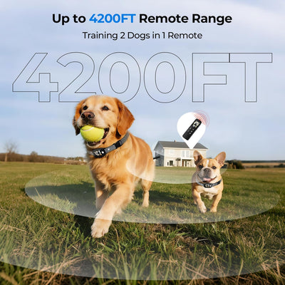 Dog Shock Collar for 2 Dogs (10-120Lbs), 4200FT Remote Training Collar with Light for Night Walks, 3 Training Modes, IP67 Waterproof Rechargeable E-Collar with Exclusive Shock Lock
