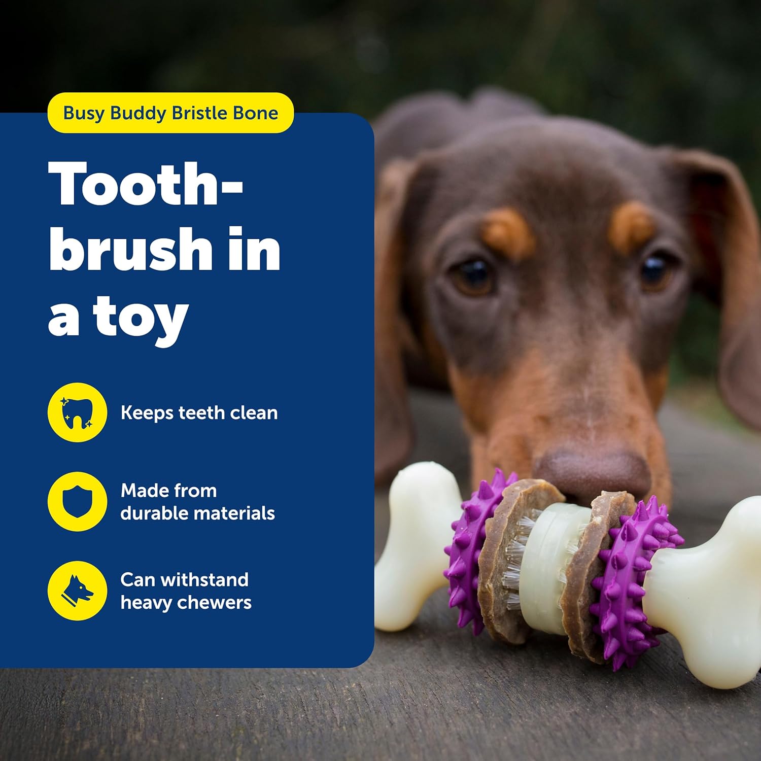 PetSafe® Busy Buddy® Bristle Bone®, Medium, Helps Keep Your Dog's Teeth Clean, Long-Lasting Playtime