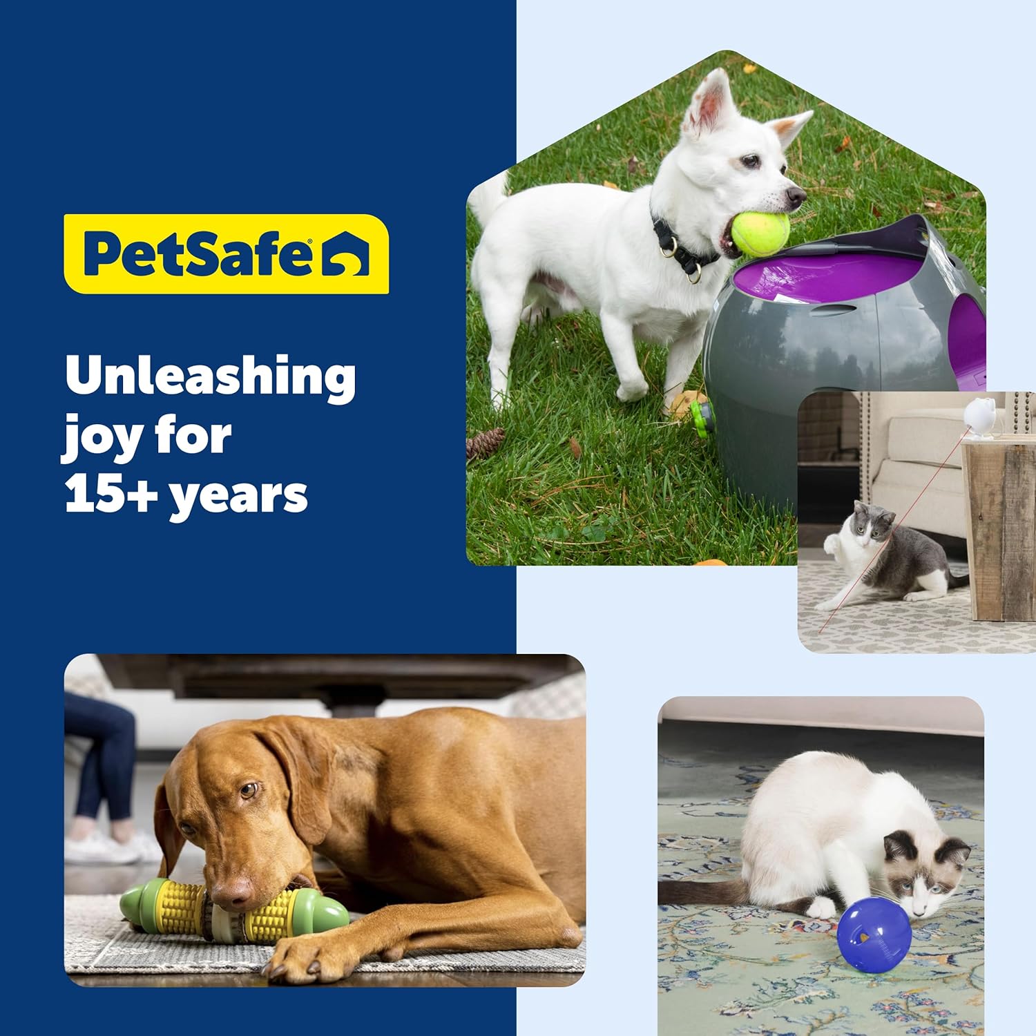 PetSafe® Busy Buddy® Bristle Bone®, Medium, Helps Keep Your Dog's Teeth Clean, Long-Lasting Playtime