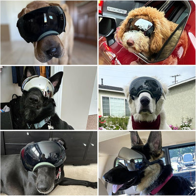 Enjoying Dog Goggles Large Breed with Replaceable Lenses, Silver/Black, Interchangeable Sunglasses for Dogs Medium Large Breed, Summer UV Dog Eye Protection, Winter Pet Snow Goggles, Green