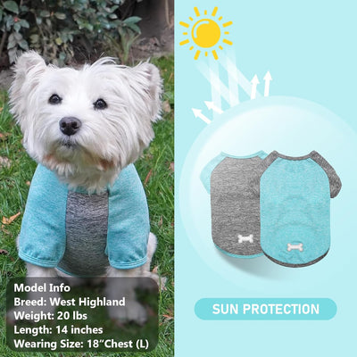 KYEESE 2 Pack Dog Shirts Raglan Sleeve Quick Dry Lightweight Stretchy Dog T-Shirts with Reflective Label Puppy Shirts for Small Dogs Sun Protection, Medium, Grey+Blue
