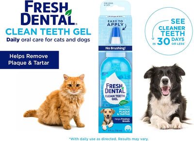 Fresh Dental Dog Toothpaste for Teeth Cleaning, Dog Breath Freshener, Easy Plaque & Tartar Remover Gel, No Toothbrush Needed, Effortless Dental Care, Minty Flavored Toothpaste, Made in USA, 4oz.
