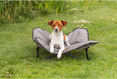 TRIXIE Camping Cot for Dogs, Elevated Dog Bed, Folding Padded Pet Bed, Raised Travel Lounger for Small to Medium Dogs