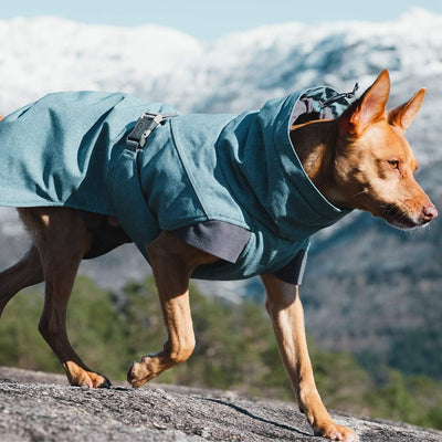Hurtta Expedition Parka, Winter Dog Coat, Bilberry, 20 in