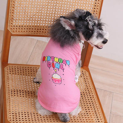 CuteBone Soft Dog Shirt Birthday Lightweight Small Puppy T-Shirts Pet Clothes Breathable Tee Vest Stretchy Outfit Cat Apparel BX08M-D