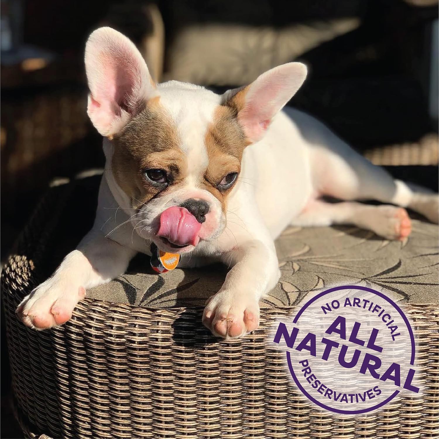 Old Mother Hubbard Wellness Training Bitz Assorted Mix Dog Biscuits, Natural, Training Treats, Three Flavors, Small Size, (8 Ounce Bag)