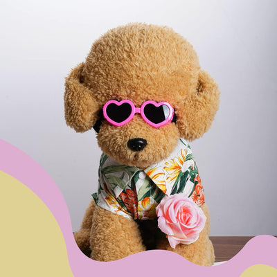 Choyaxo Pink Heart-Shaped Dog Sunglasses with UV Protection, Adjustable Strap & Windproof Design for Small Dogs