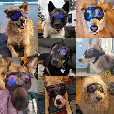 PETLESO Gafas de sol para perros con protección UV para razas medianas a grandes, resistentes al viento, a prueba de nieve, para senderismo, ciclismo, conducción, con marco cómodo, correas ajustables