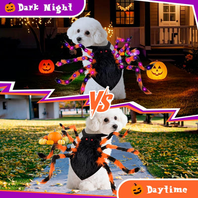 Halloween Glowing Spider Dog Costume - 40 LED Lighting Dogs Cats Pet Small Medium Costumes, Funny Cute Apparel Outfits Cosplay Accessories, Scary Unique Light Up Black Doggy Dress Up Party Clothes
