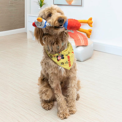 KONG Bendeez Dog Toy – Durable Plush with Rope, Flexible Twistable Design, Squeaker for Interactive Play, Large Size for All Dogs (Bird)