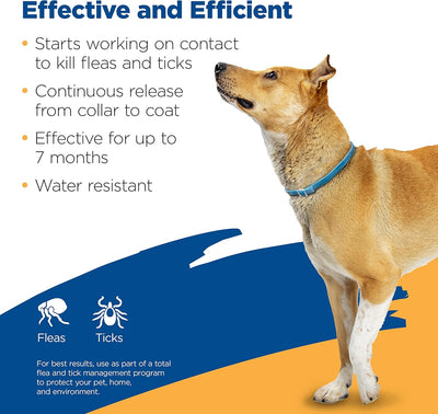 Zodiac Flea and Tick Collar for Large Dogs