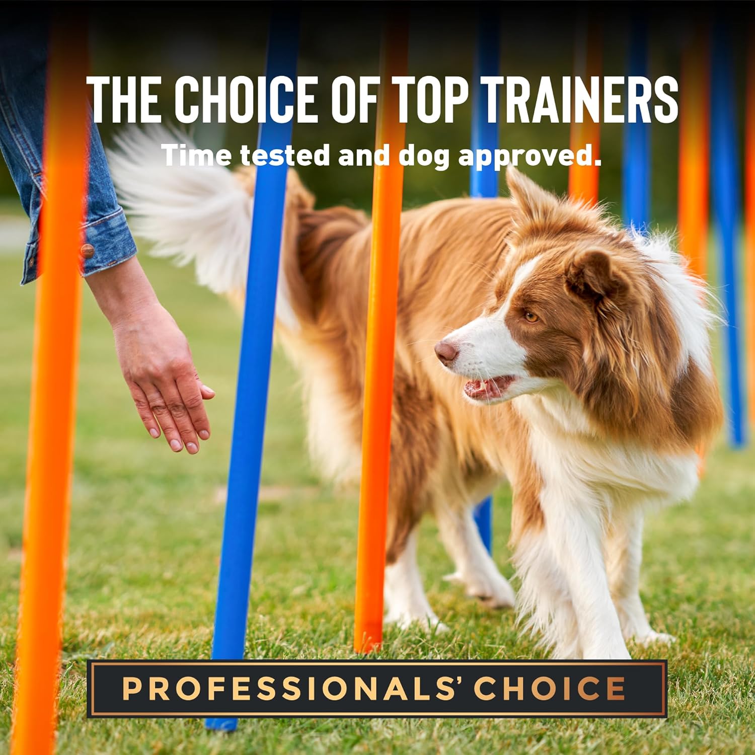 Cloud Star Tricky Trainers Crunchy Dog Training Treats 12 oz. Bag, Cheddar Flavor, Low-Calorie Behavior Aid with 680 Treats