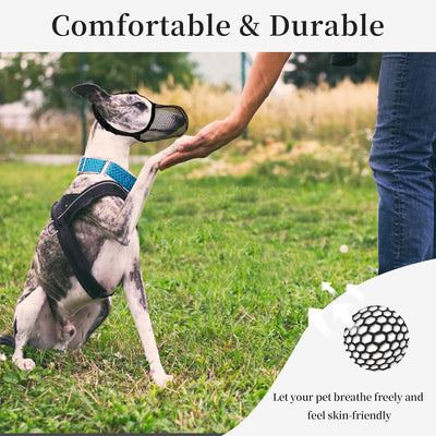 Dog Muzzle, Breathable Soft Muzzle for Extra Small Dogs to Anti & Prevent Barking Biting Chewing, Reflective & Adjustable Basket Muzzle with Air Mesh for Dachshund Black XS