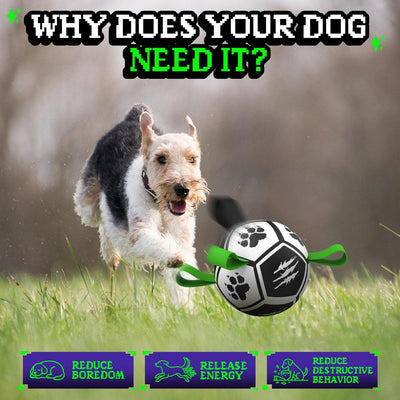 Diman Dog Soccer Ball with Straps, Soccer Balls for Dogs to Play, Train and Retriever, Outdoor Pet Balls for Small to Medium (5 Inch)
