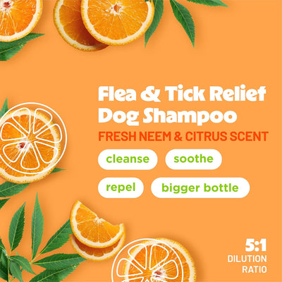 TropiClean Citrus Flea & Tick Shampoo for Dogs, Soothing Bite Relief, Fresh Citrus Scent, Made in The USA, 1 Gallon