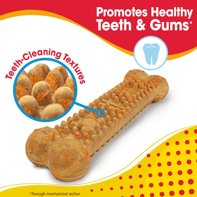 Nylabone Nubz Flavor Bursts Natural Edible Chew Bones for Dogs, Healthy Long Lasting Chews Made in The USA, Grain-Free Dog Treats for Small Dogs, Bacon & Cheese Flavor (36 Count)
