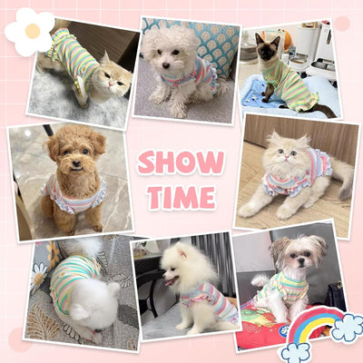 2 Pack Cute Striped Small Dog T Shirts Soft Cotton Girl Dog Clothes Breathable Pet Puppy Cats Vest Spring Summer Doggy Outfits（Purple+Green,Large）