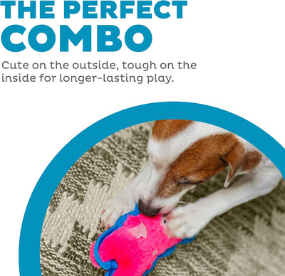 Outward Hound Durablez Minis Stuffing-Free Squeaky Interactive Dog Toy, Tough Plush, Pig, Pink, XS