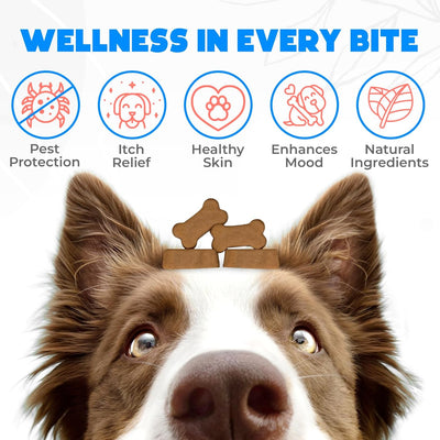 Flea and Tick Prevention Chewables for Dogs - 150 Chews - Flea & Tick Control - Vet-Approved Oral Treatment - Chicken Flavor - US-Made