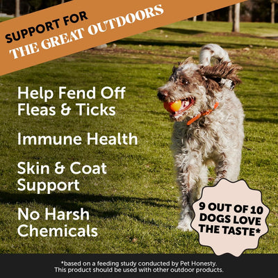 Flea and Tick Prevention for Dogs Supplement - Natural Flea and Tick Chews for Dogs, Oral Pills with No Harsh Chemicals, Natural Way to Enjoy The Outdoors - Bacon (90 Count)