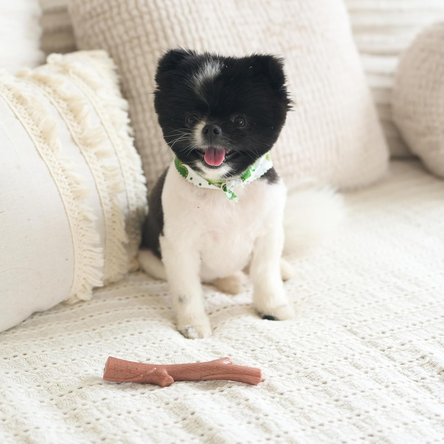 SPOT Bam-Bones Plus Branch -Bamboo Fiber & Nylon, Durable Long Lasting Dog Chew for Aggressive Chewers – Great Toy for Adult Dogs & Teething Puppies Under 60lbs, Non-Splintering, 5.75in, Beef Flavor