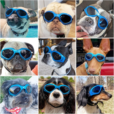 NAMSAN Dog Sunglasses Medium Breed UV Protection Dog Goggles for Small to Medium Dogs Windproof Anti-Fog Snowproof Puppy Glasses, Easy Wear/Adjustable (Blue)