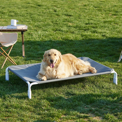 Outdoor Dog Cot Bed, Tool-Free Assembly, Elevated Raised Dog Cooling Bed Frame for Large Pets, Summer Pet Hammock Off Ground with Non-Slip Feet & Waterproof Teslin Mesh, 43x30 Inch