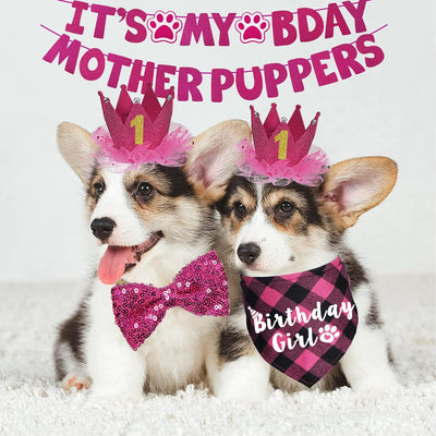 Dog Birthday Decorations, Multi Sizes Dog Birthday Bandana Girl Dog Birthday Hat Crown Bow Tie Birthday Numbers It’s My Bday Mother Puppers Sign Banner for Small Dogs Pets (Pink, Small)